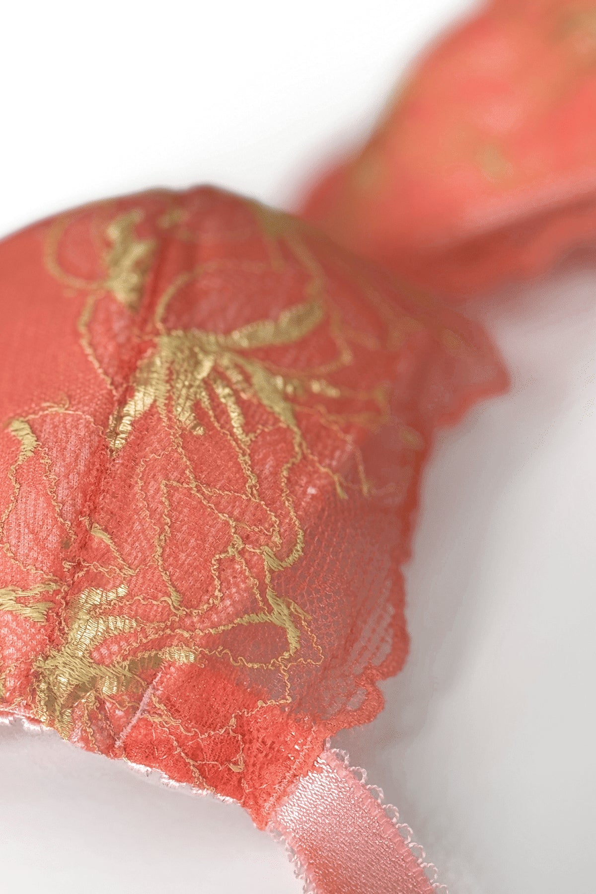 Miss Clementine push-up bh