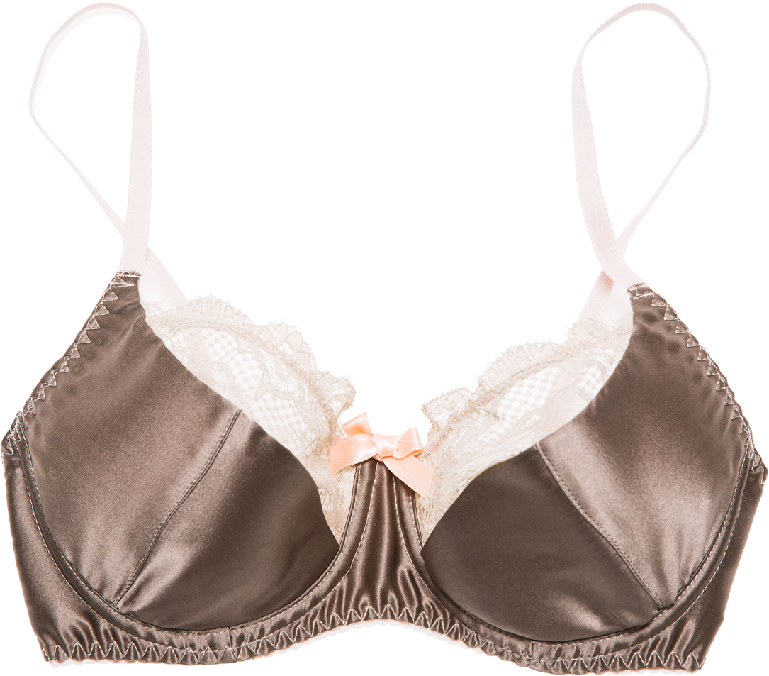 Miss Ginger let vatteret silke bh