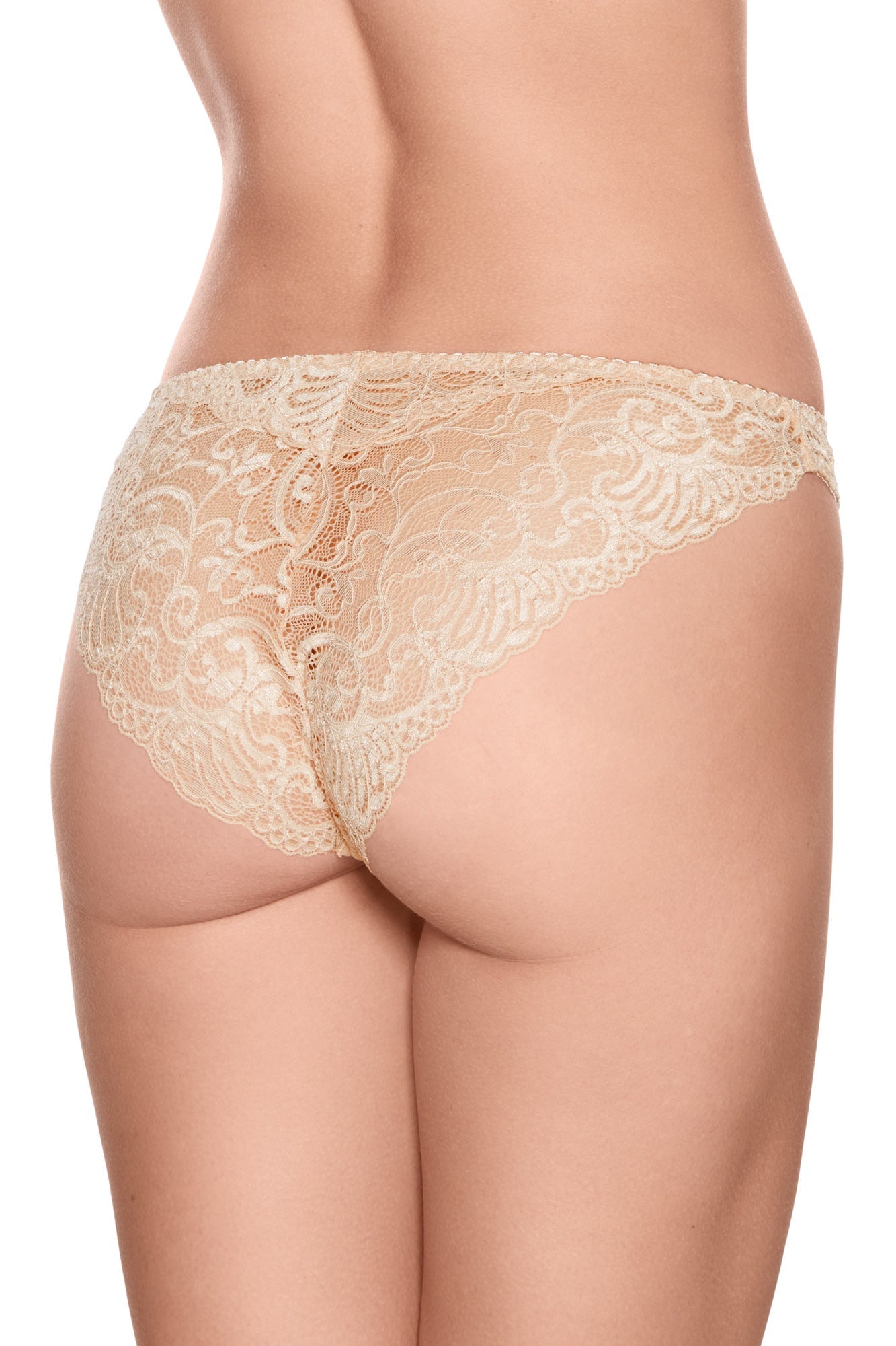 3 pak brazilian Lily, Dahlia, Poppy