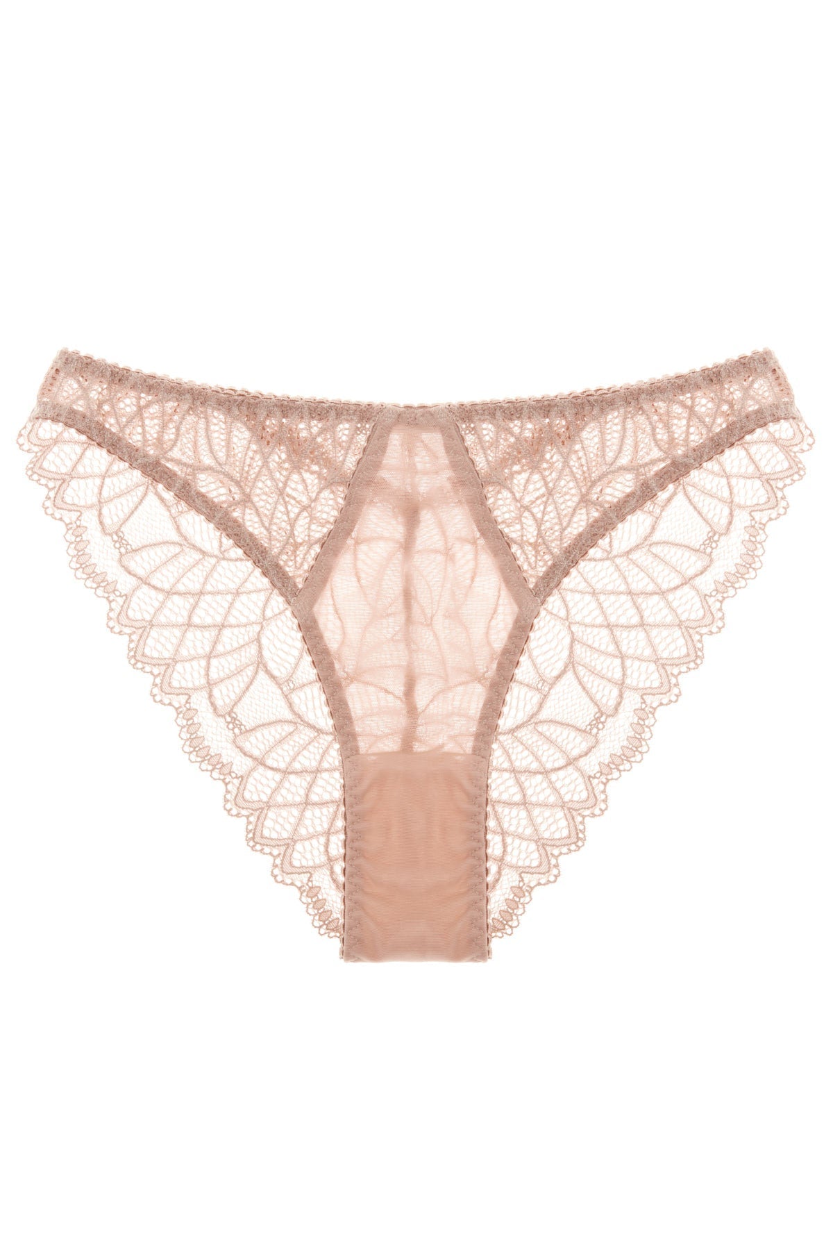 Miss Vanessa brazilian trusse 44 XL