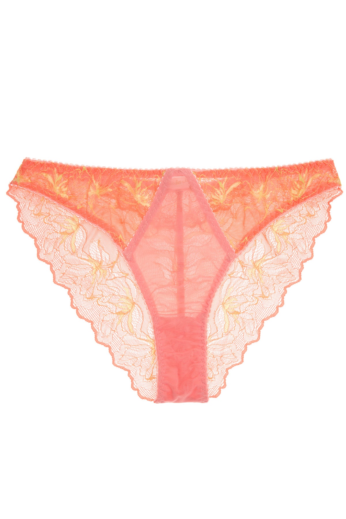 Miss Clementine brazilian trusse 44