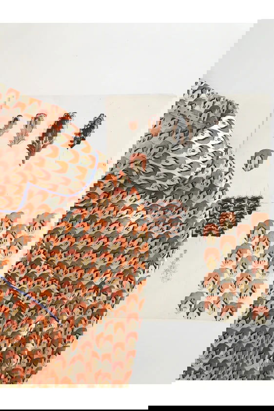 Sienna silke pyjamas